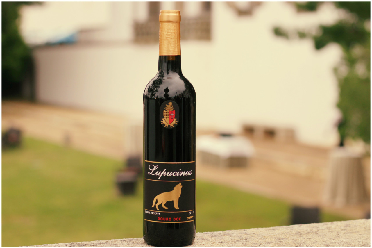 Sabores da vida 2018