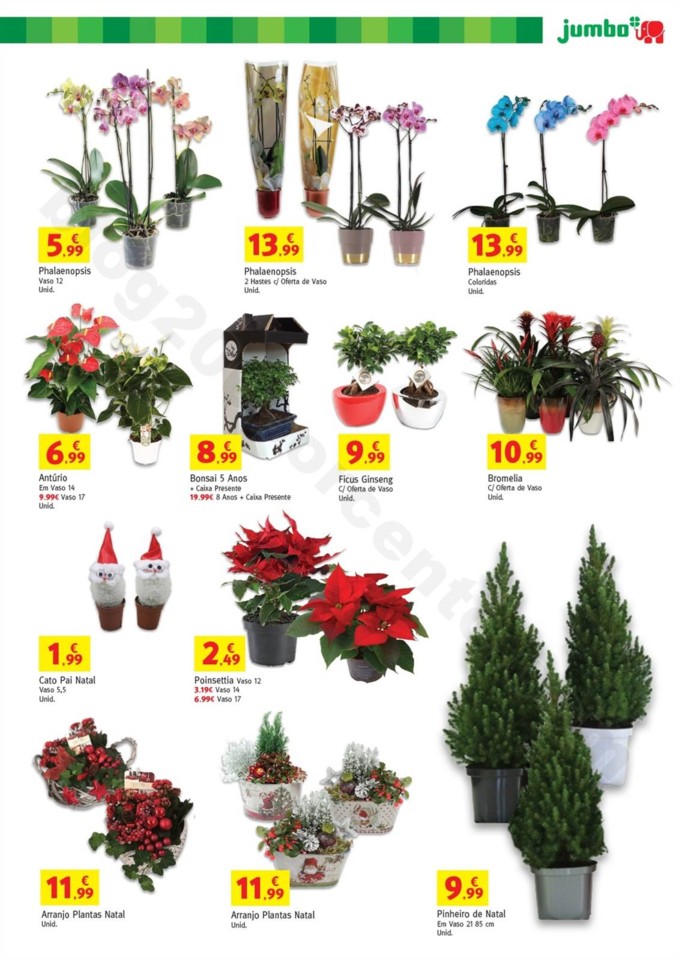 Antevisão Folheto JUMBO Natal Promoções 12 a 24