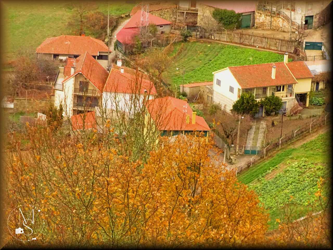 09Dez DSC00020a_ms.JPG