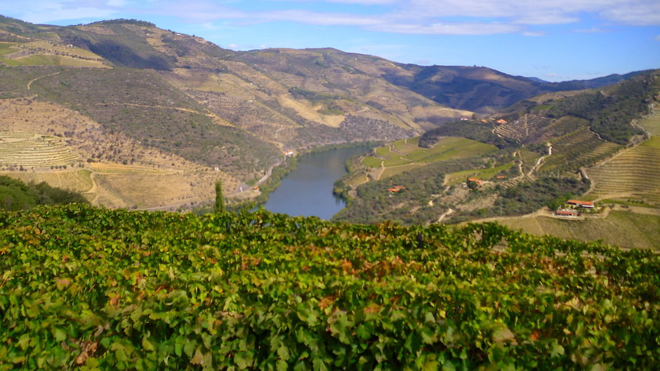 douro3.jpeg