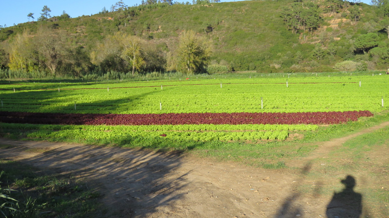 2017-11-05 16-59-39_0188.JPG 2017-11-05 16-59-39_0188.JPG