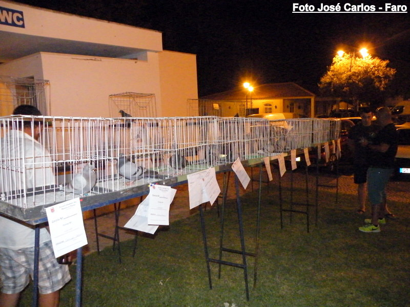 Leilão de Paderne 2016 008.JPG