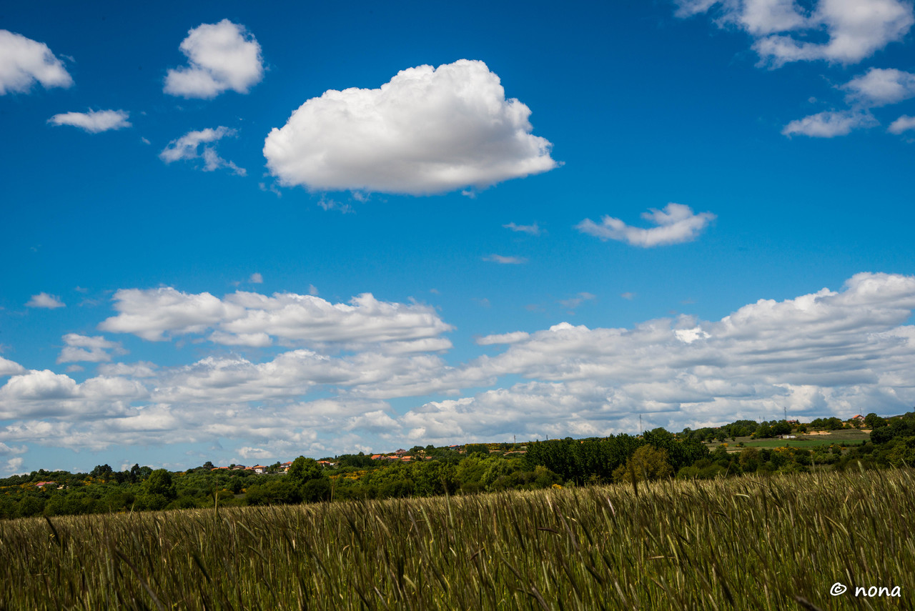 11.- Vagueando pela Montanha.jpg