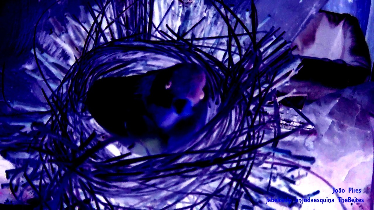 Hiper Artesanato das Beiras 7.jpg