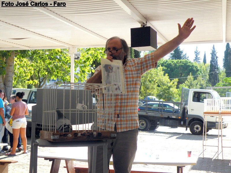 Leilão Asas Beja 2017 056.JPG