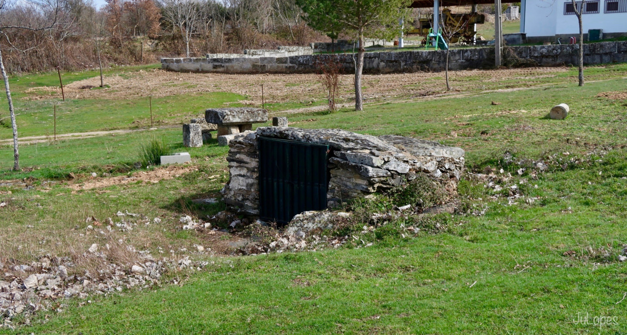 IMG_0301.jpg IMG_0301.jpg