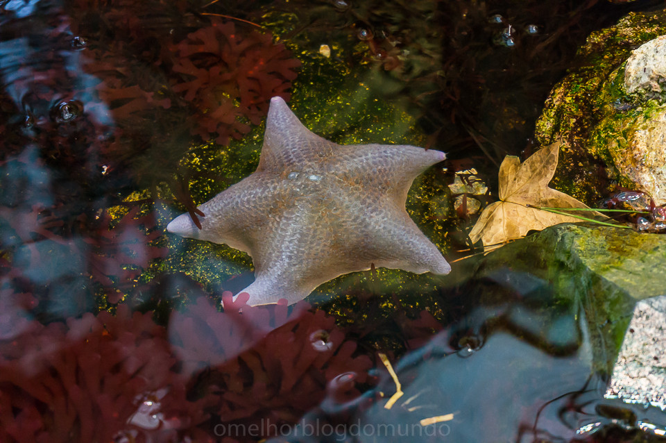 DSC00162.jpg DSC00162.jpg