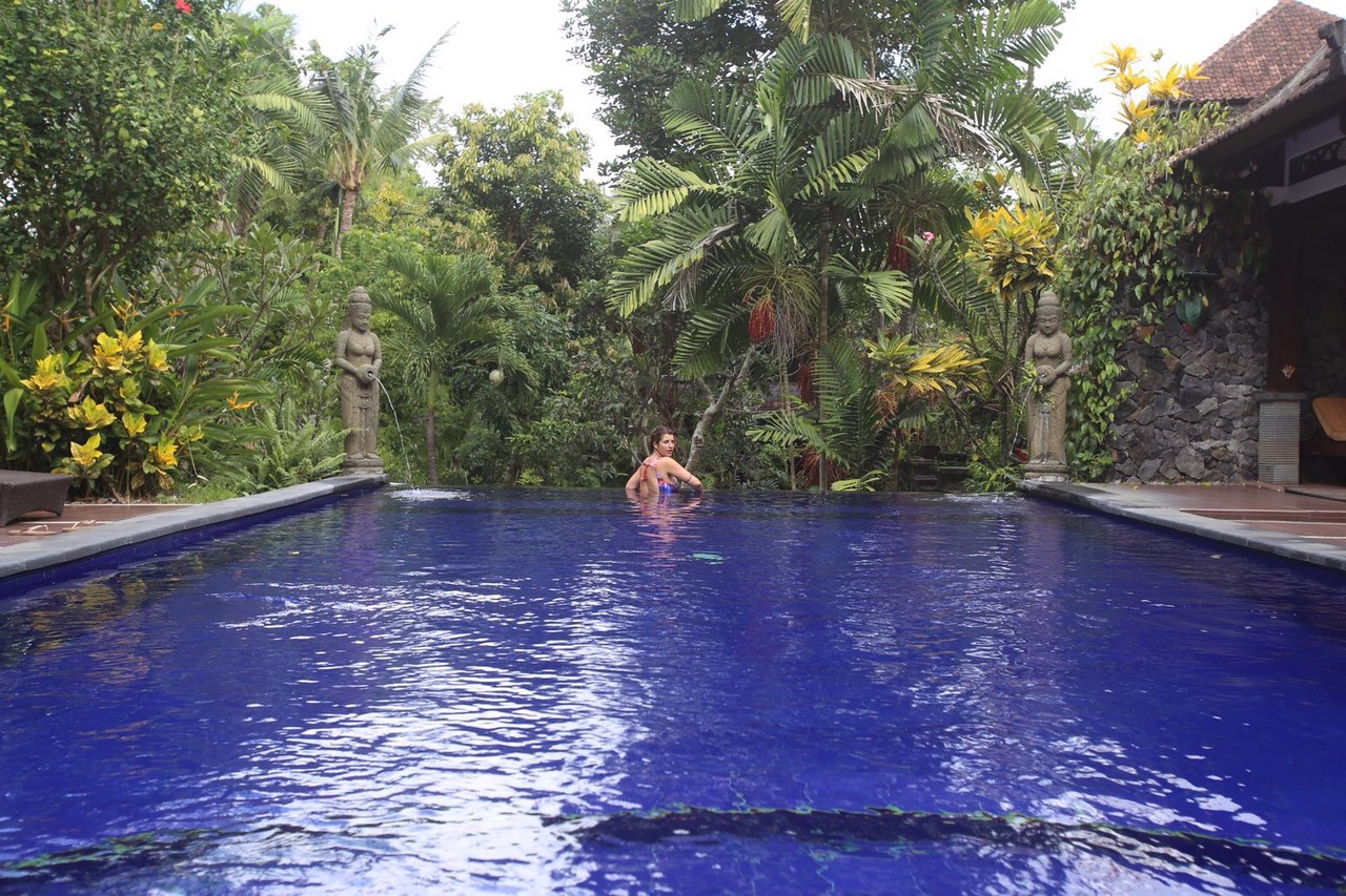 image.jpeg image.jpeg