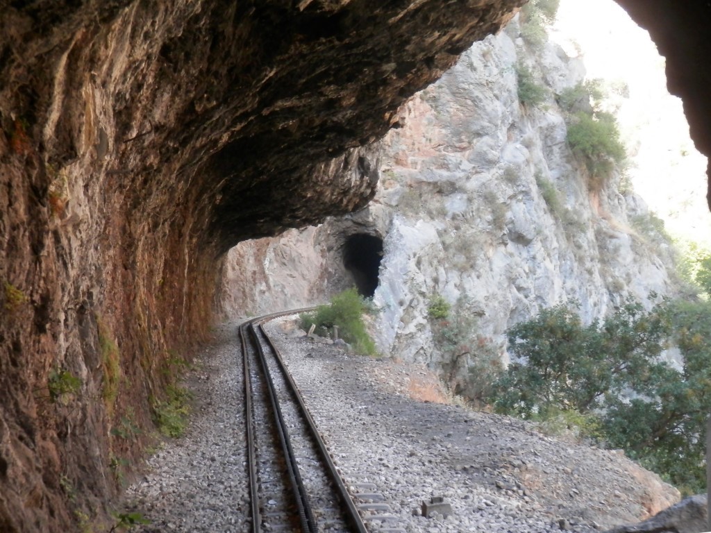 P7301891.JPG P7301891.JPG