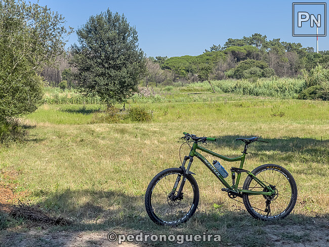 Jul_2024_001 650px.jpg