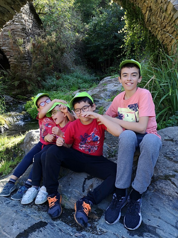 IMG_20191005_160932.jpg IMG_20191005_160932.jpg