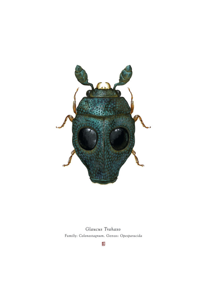 richard-wilkinsons-star-wars-insects-4-770x1049.jp