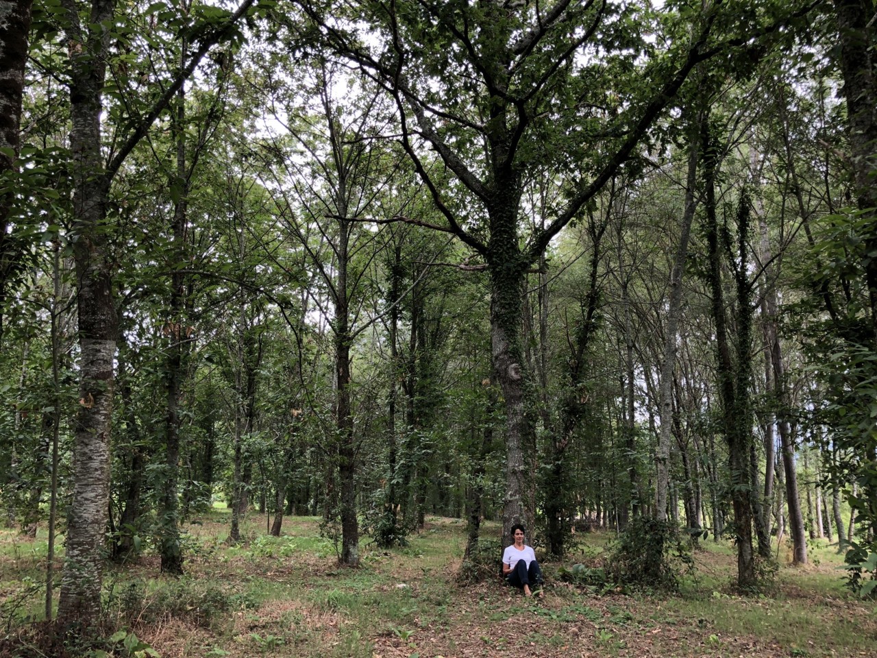 IMG_0853.JPEG IMG_0853.JPEG