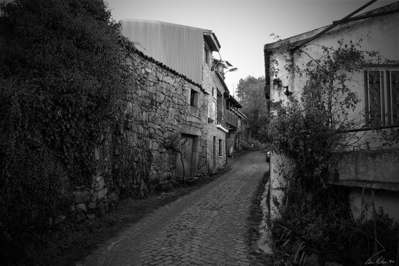 800-granjinha (28).jpg