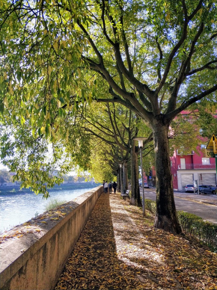 Caminho perto do Rio Ádige.jpg