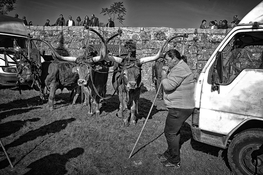 _JMD8386 - Cópia.JPG