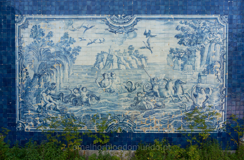 _DSC5922.jpg _DSC5922.jpg