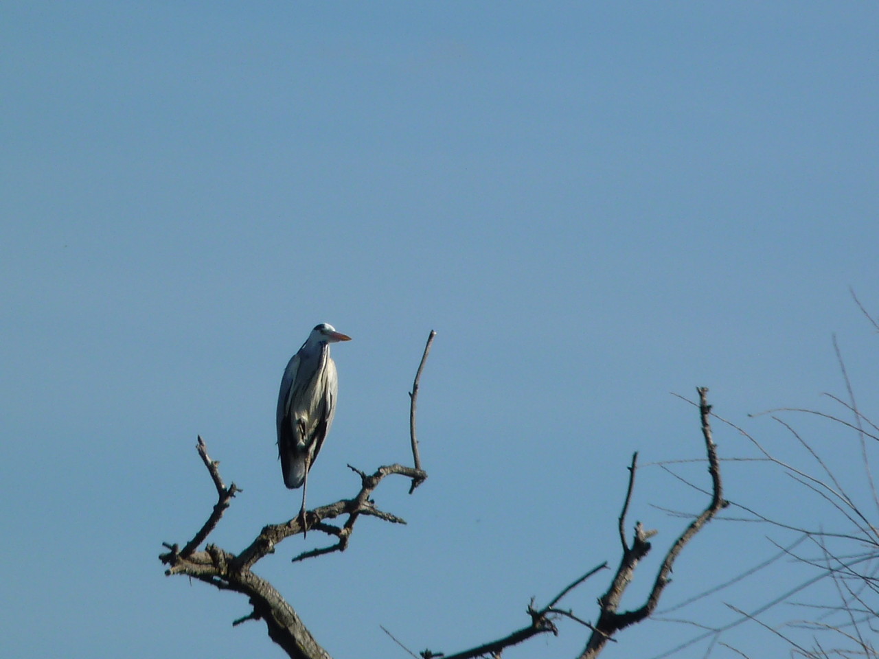 Passeio de barco (10).JPG
