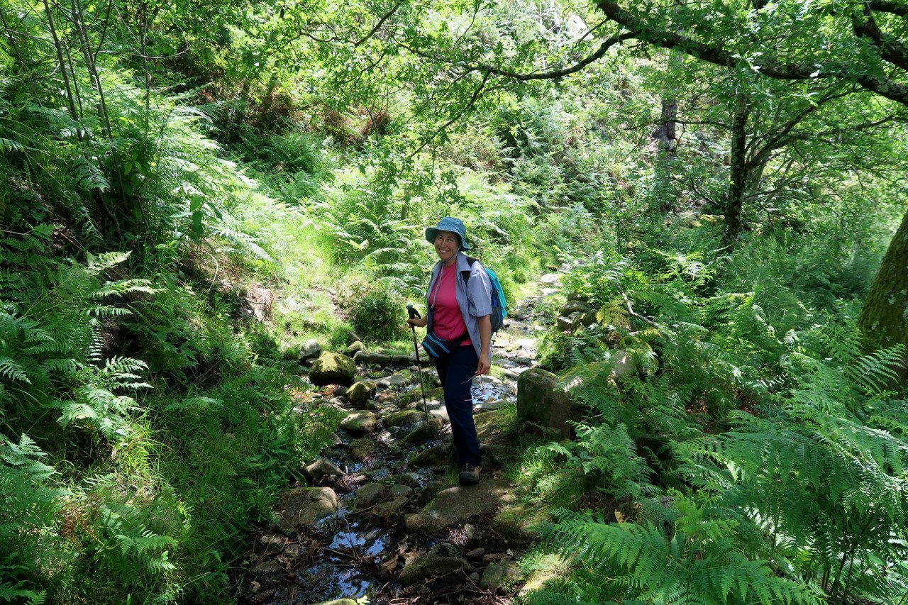 2017-06-03 Sistelo 089.jpg