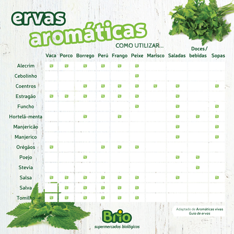 12140556_10153066617211389_2787905282713426053_n.p