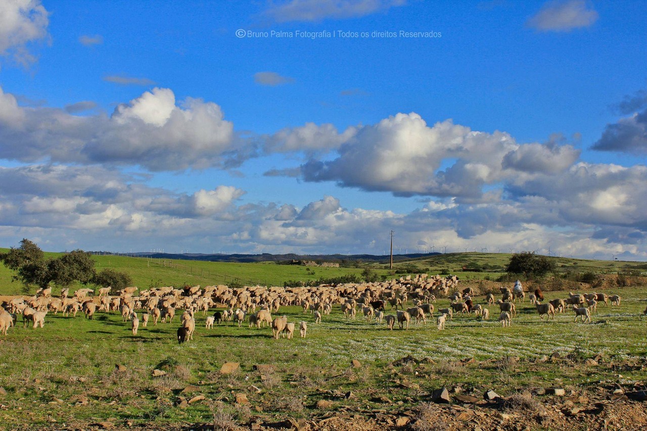 12783546_522724394566625_1017165078207521342_o.jpg 12783546_522724394566625_1017165078207521342_o.jpg