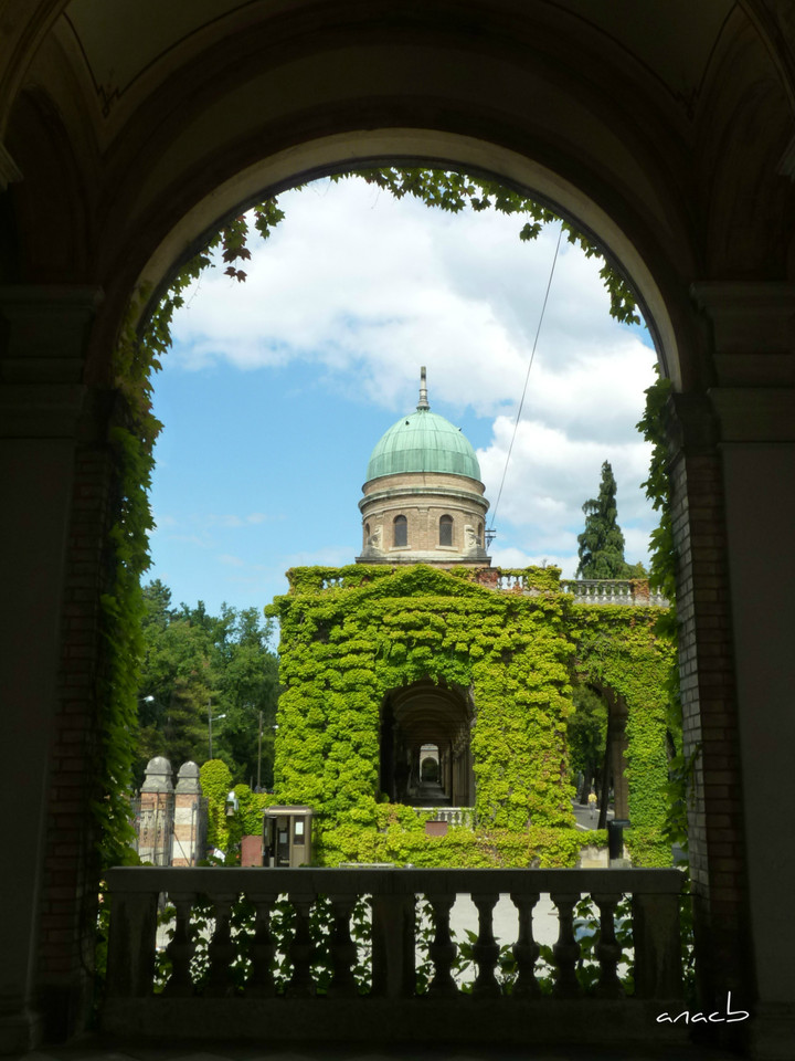 P1380013 cópia 2 assin.jpg