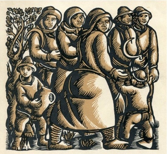 Pavia 6.jpg Pavia 6.jpg