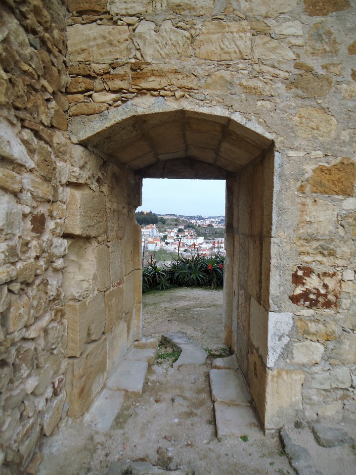 DSC07328.JPG DSC07328.JPG