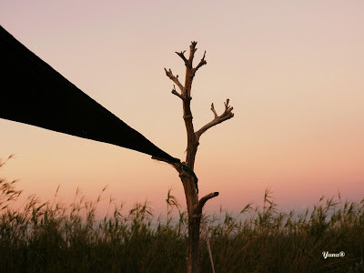 13735071_10208175902207611_3205459101956879448_o.j