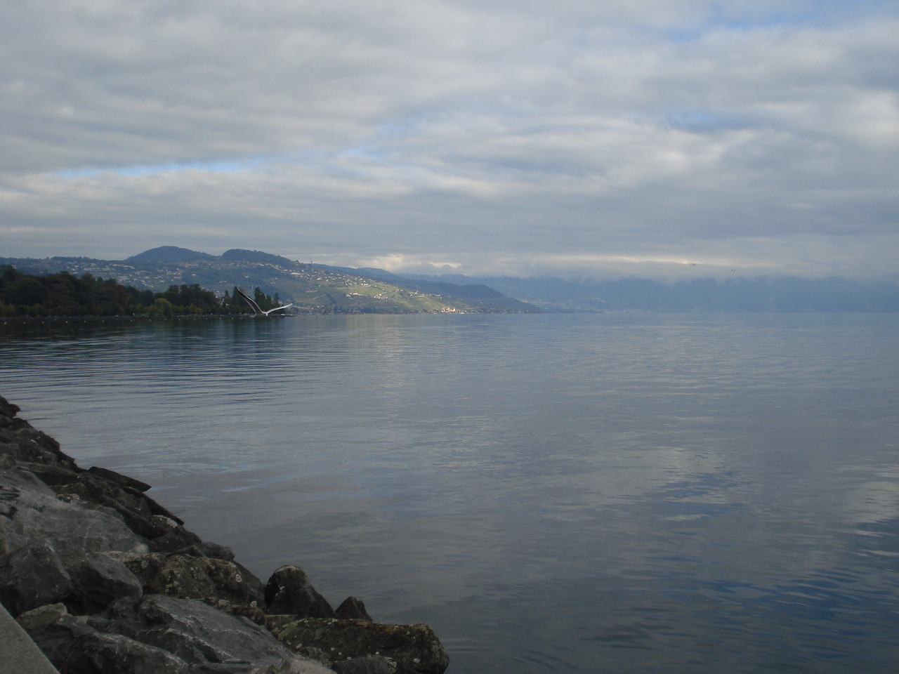 DSC09935.JPG DSC09935.JPG