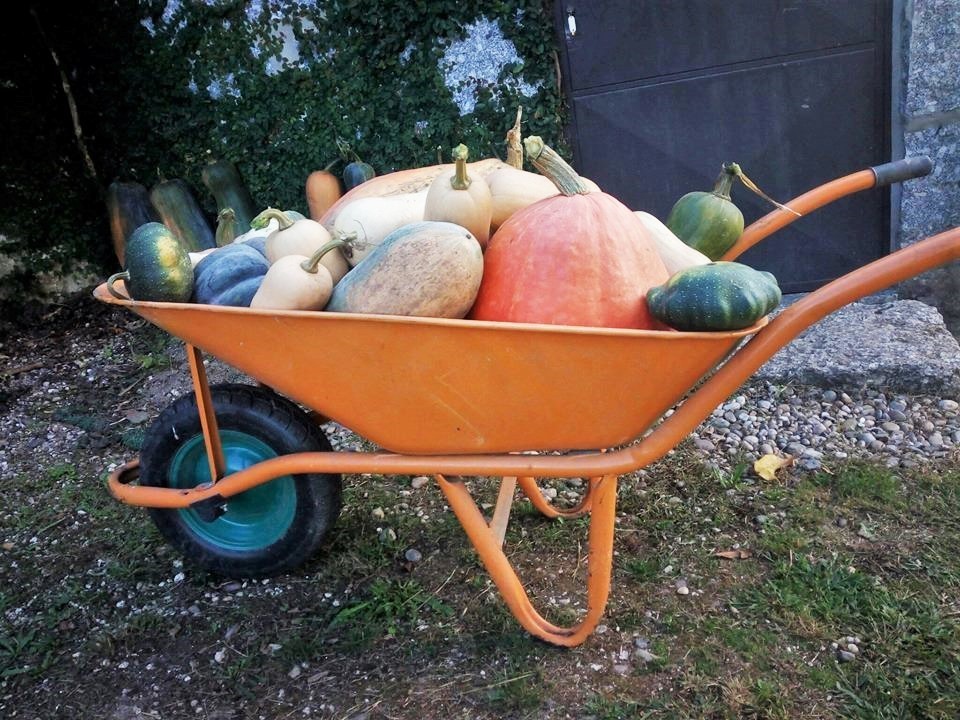 21766428_1456183927800587_7677731920184099287_n.jp