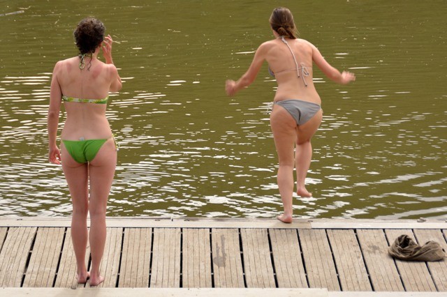 DSC_1390.jpg DSC_1390.jpg