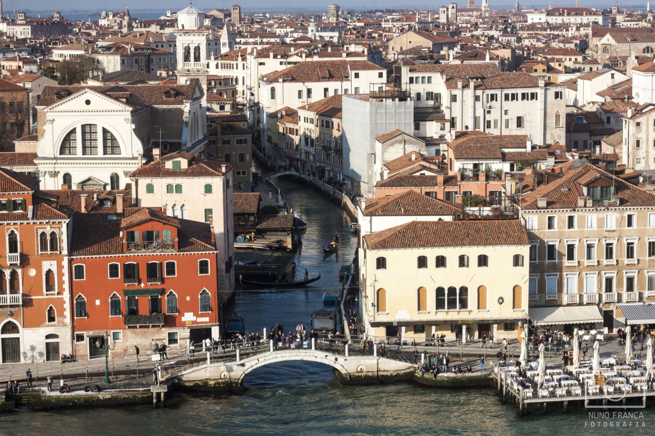 IMG_5670_net.jpg IMG_5670_net.jpg