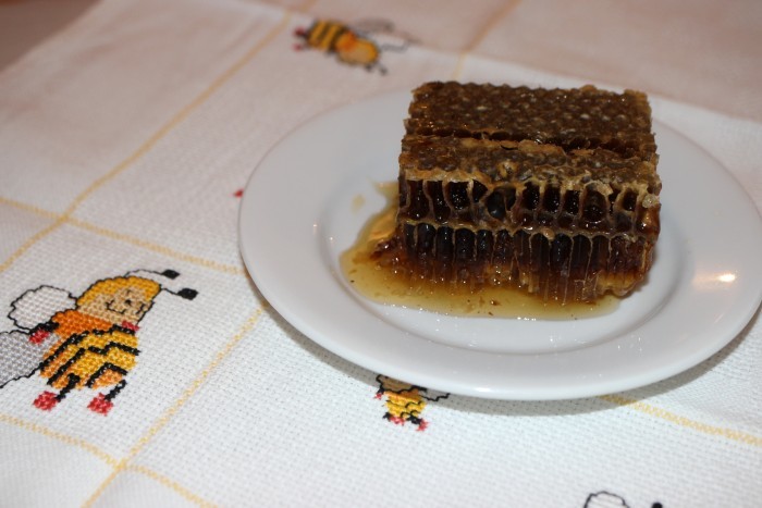 quarentena - dia 49.jpg quarentena - dia 49.jpg