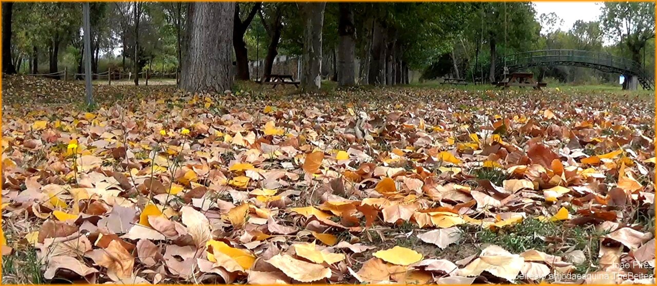 visita meu blog!