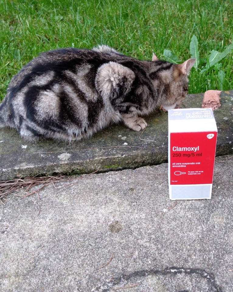 SquarePic_20200117_16370943.jpg SquarePic_20200117_16370943.jpg