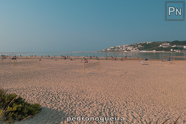 Ago_2025_048 650px.jpg