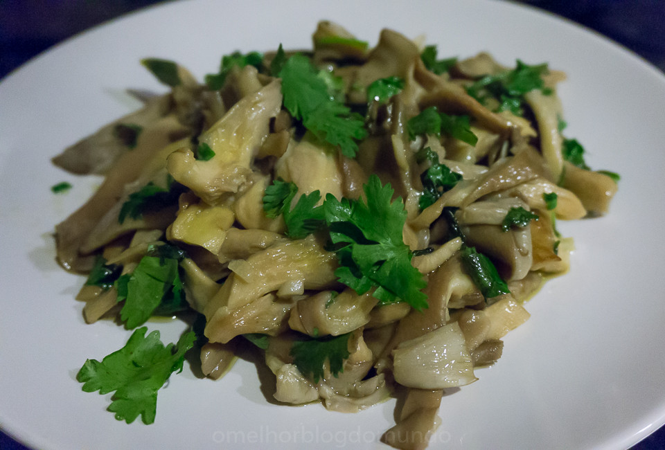 DSC02309.jpg DSC02309.jpg