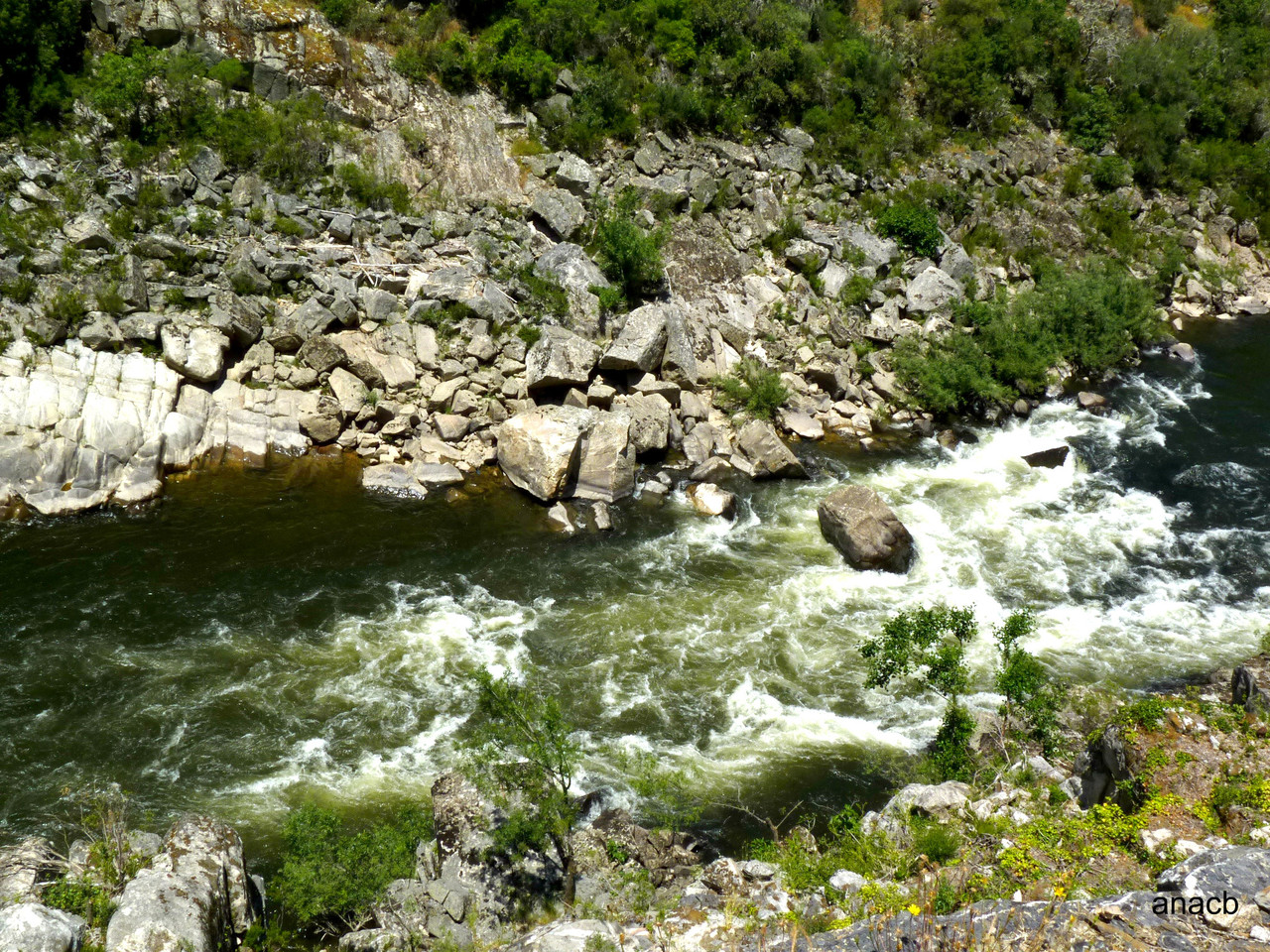 Passeio na antiga linha do Tua, Junho 2016