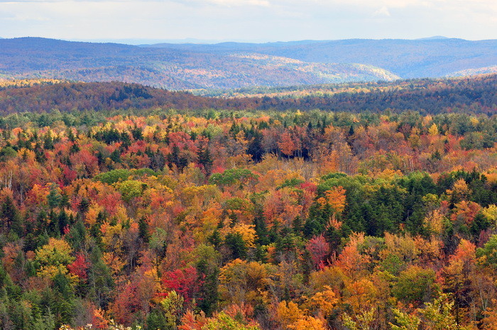 Vermont_fall_foliage_hogback_mountain1.jpg