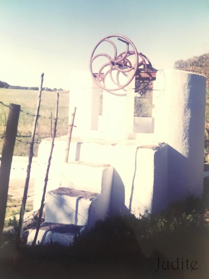 IMG_0141.jpg IMG_0141.jpg