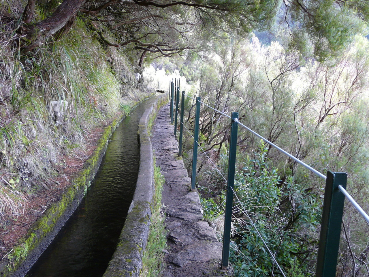 25 Fontes (16).jpg 25 Fontes (16).jpg