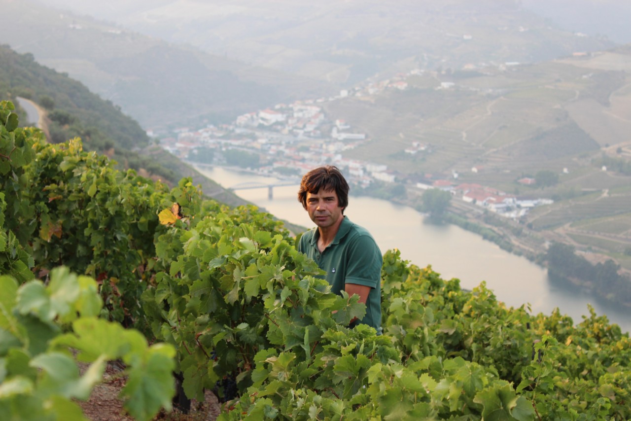 Quinta das Carvalhas