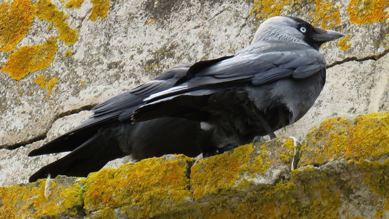 IMG_5729.jpg IMG_5729.jpg