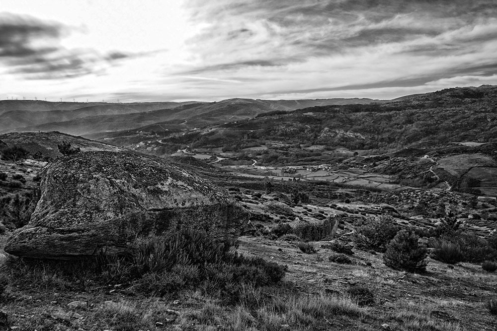 DSCF3179 - Cópia.jpg DSCF3179 - Cópia.jpg