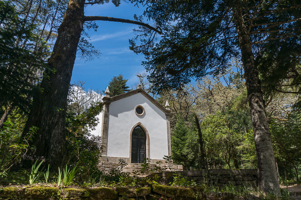 DSC02088.jpg DSC02088.jpg