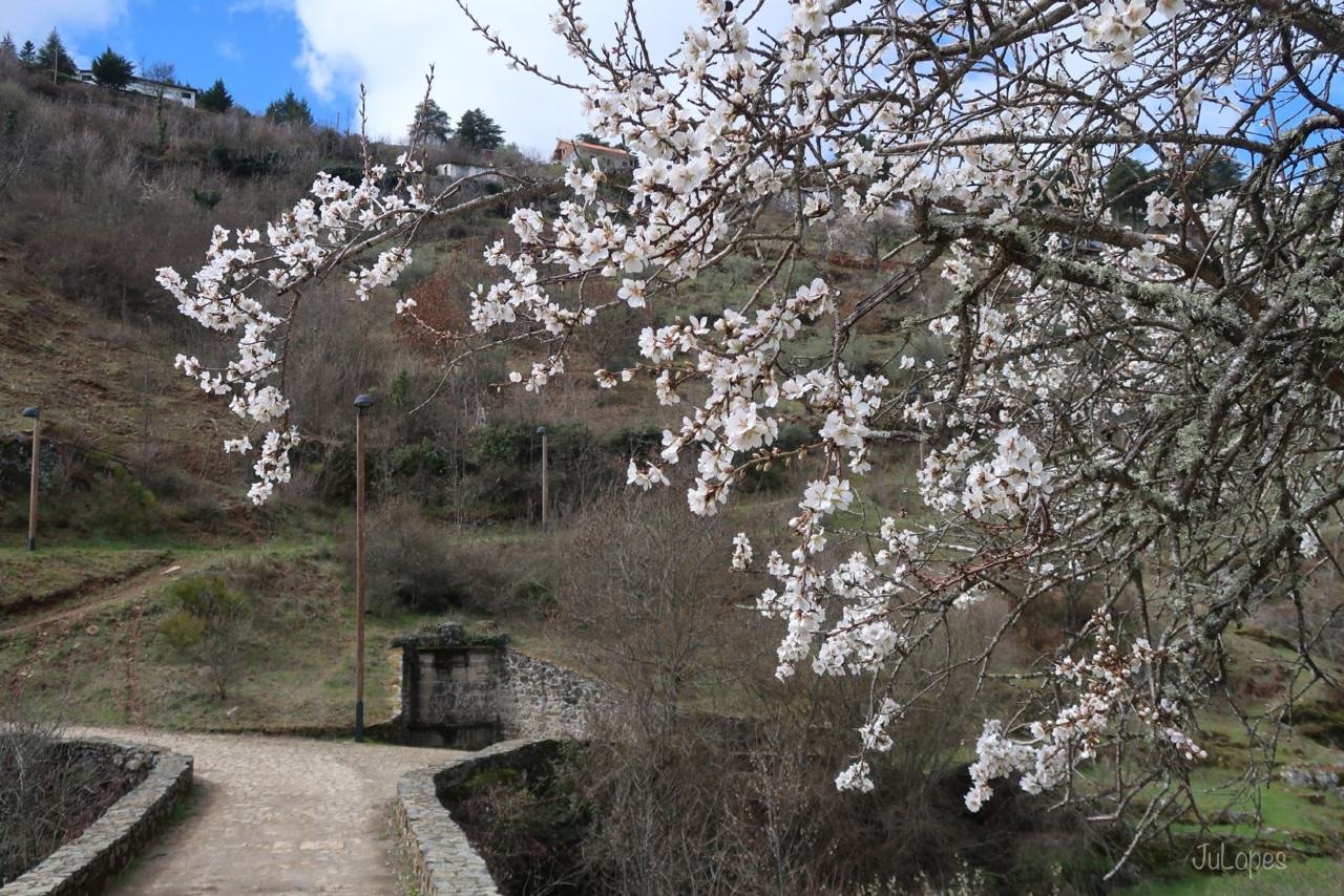 IMG_0131.jpg IMG_0131.jpg