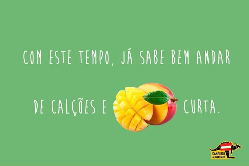 17903832_1445908802127016_3795085867577514334_n.jp