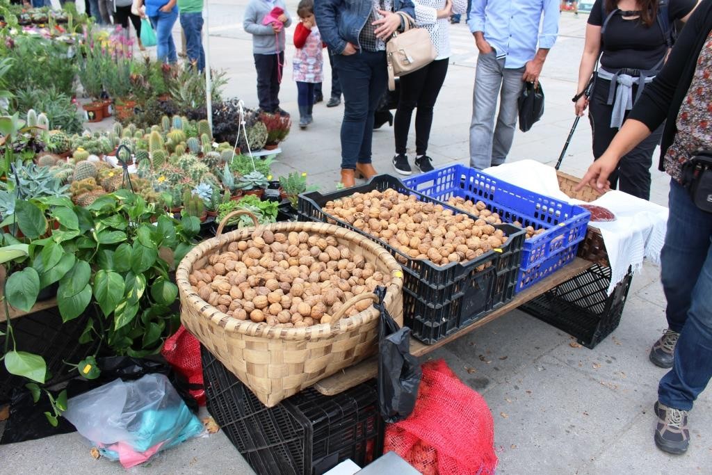 IMG_8058.JPG IMG_8058.JPG