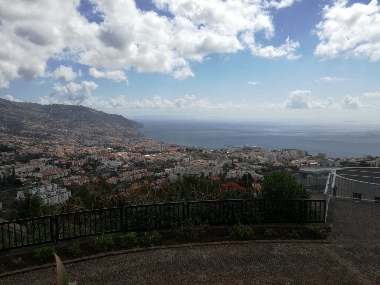 IMG_20190317_115524.jpg IMG_20190317_115524.jpg